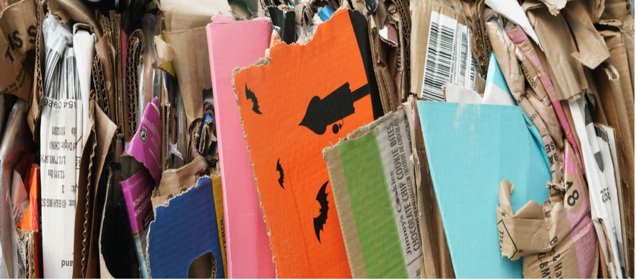 Waste Management Solutions